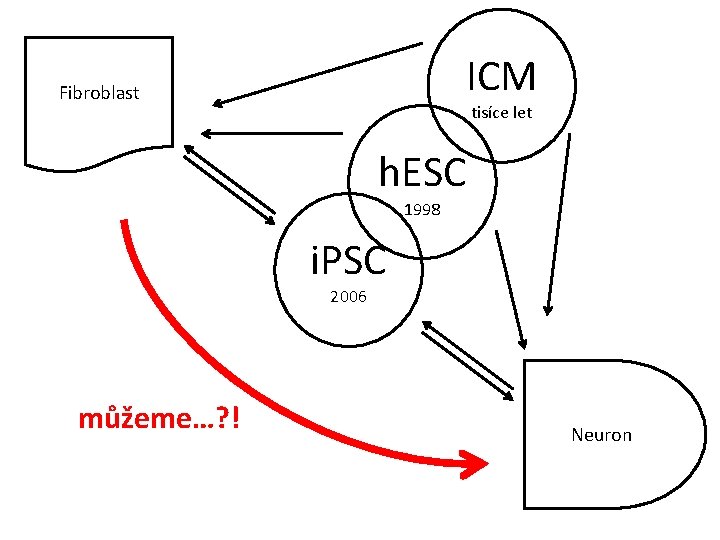 ICM Fibroblast tisíce let h. ESC 1998 i. PSC 2006 můžeme…? ! Neuron 
