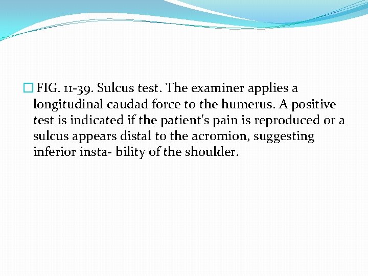 � FIG. 11 -39. Sulcus test. The examiner applies a longitudinal caudad force to
