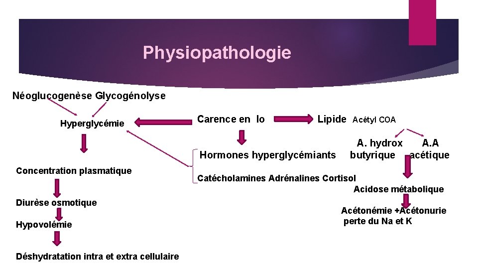 Physiopathologie Néoglucogenèse Glycogénolyse Hyperglycémie Concentration plasmatique Diurèse osmotique Hypovolémie Déshydratation intra et extra cellulaire