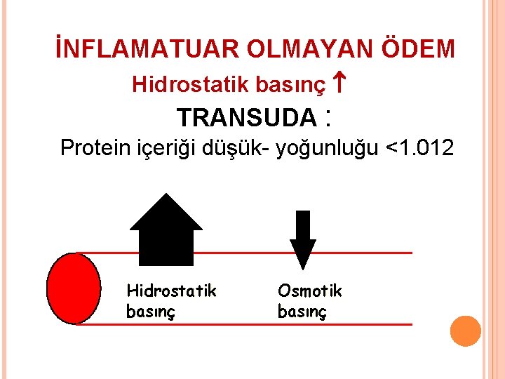 İNFLAMATUAR OLMAYAN ÖDEM Hidrostatik basınç TRANSUDA : Protein içeriği düşük- yoğunluğu <1. 012 Hidrostatik