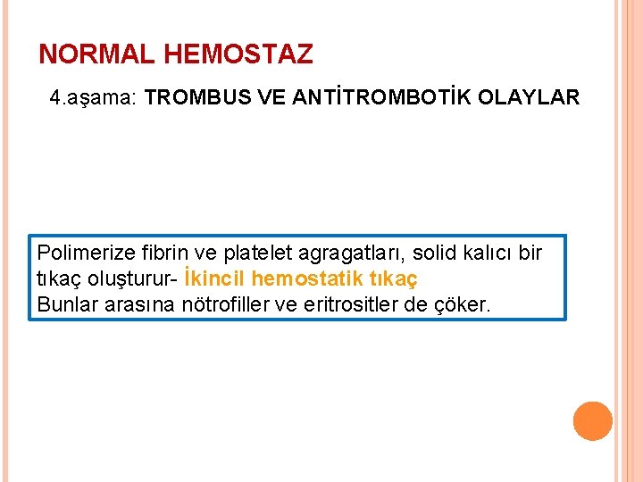 NORMAL HEMOSTAZ 4. aşama: TROMBUS VE ANTİTROMBOTİK OLAYLAR Polimerize fibrin ve platelet agragatları, solid
