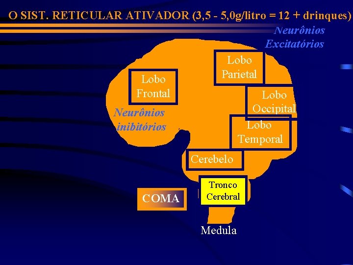 O SIST. RETICULAR ATIVADOR (3, 5 - 5, 0 g/litro = 12 + drinques)