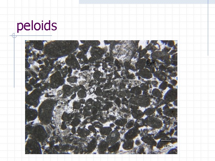peloids peloids