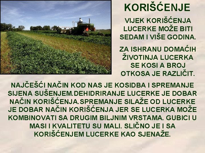 KORIŠĆENJE VIJEK KORIŠĆENJA LUCERKE MOŽE BITI SEDAM I VIŠE GODINA. ZA ISHRANU DOMAĆIH ŽIVOTINJA