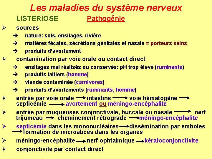 Les maladies du système nerveux LISTERIOSE Ø sources è è è Ø Ø Ø