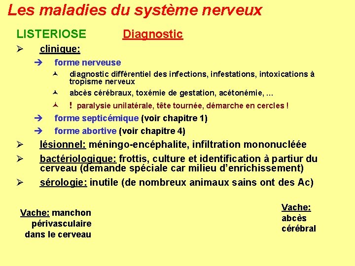 Les maladies du système nerveux LISTERIOSE Ø Diagnostic clinique: è forme nerveuse © ©