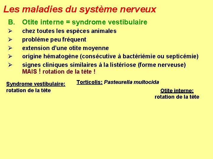 Les maladies du système nerveux B. Otite interne = syndrome vestibulaire Ø Ø Ø