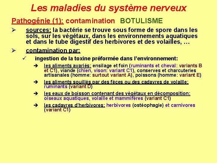 Les maladies du système nerveux Pathogénie (1): contamination BOTULISME Ø Ø sources: la bactérie