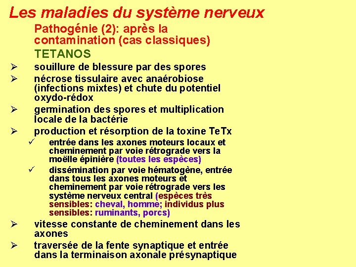 Les maladies du système nerveux Pathogénie (2): après la contamination (cas classiques) TETANOS Ø