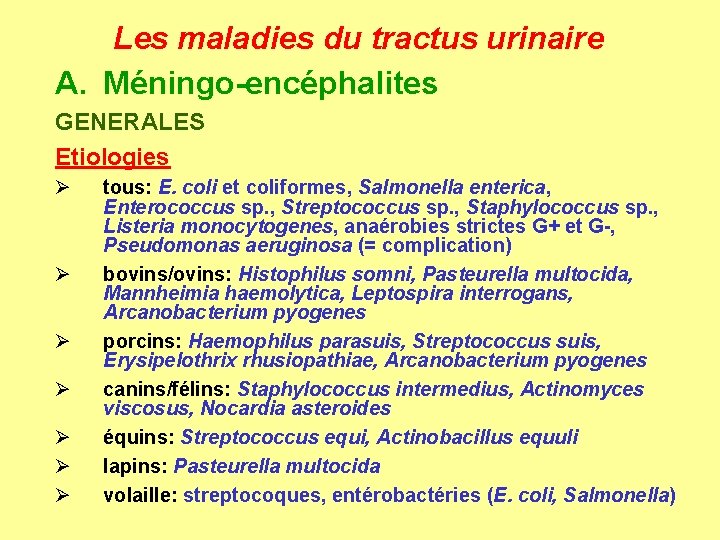 Les maladies du tractus urinaire A. Méningo-encéphalites GENERALES Etiologies Ø Ø Ø Ø tous: