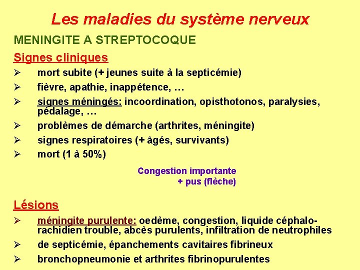 Les maladies du système nerveux MENINGITE A STREPTOCOQUE Signes cliniques Ø Ø Ø mort