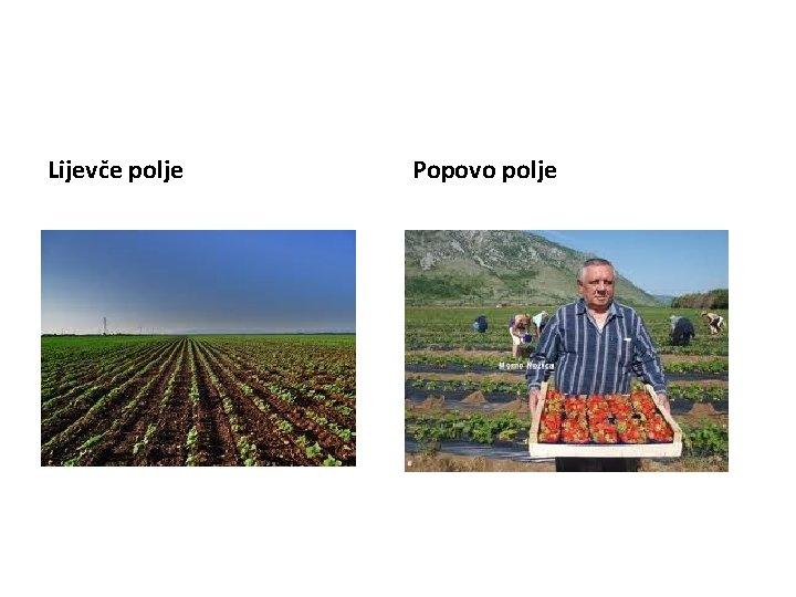 Lijevče polje Popovo polje Lijevče polje Popovo polje