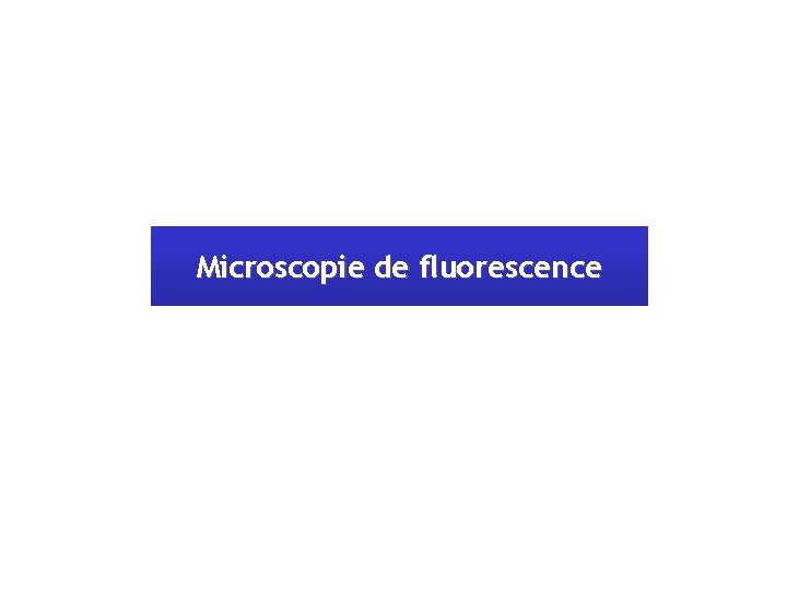 Microscopie de fluorescence 