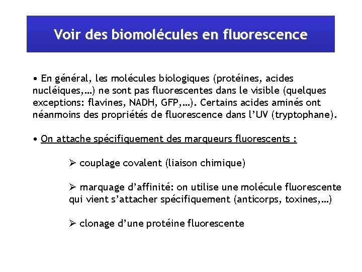 Voir des biomolécules en fluorescence • En général, les molécules biologiques (protéines, acides nucléiques,