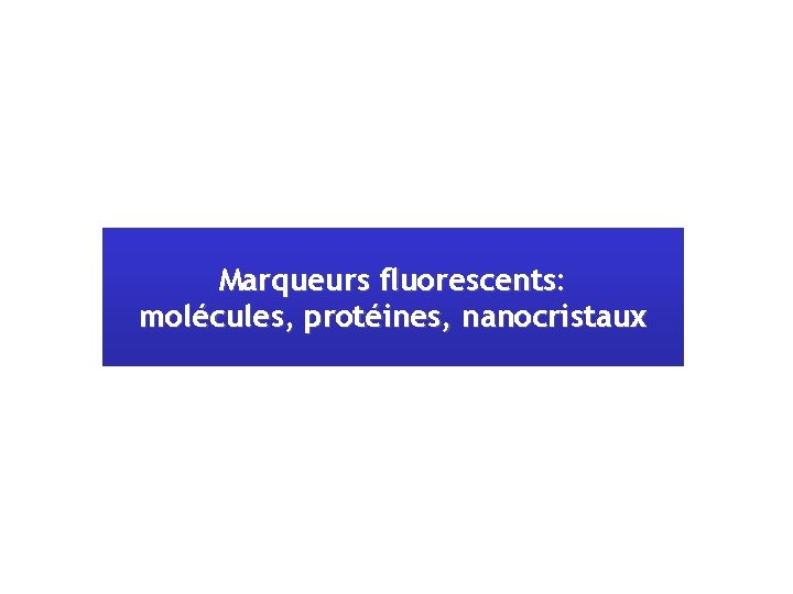 Marqueurs fluorescents: molécules, protéines, nanocristaux 