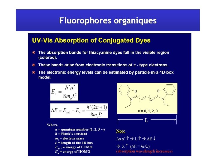 Fluorophores organiques 