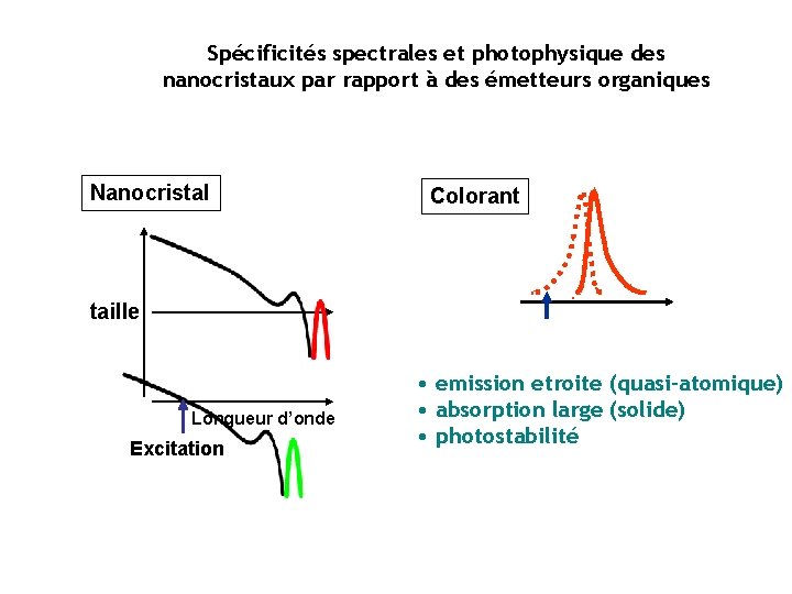 Spécificités spectrales et photophysique des nanocristaux par rapport à des émetteurs organiques Nanocristal Colorant