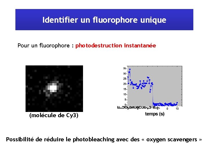 Identifier un fluorophore unique Pour un fluorophore : photodestruction instantanée (molécule de Cy 3)