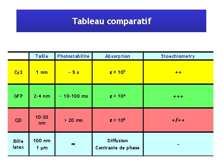 Tableau comparatif Taille Photostabilité Absorption Stoechiometry Cy 3 1 nm ~5 s e =