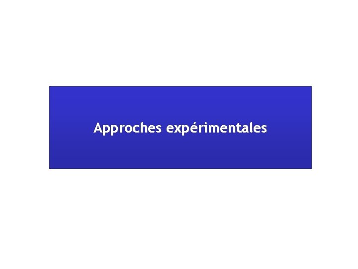 Approches expérimentales 