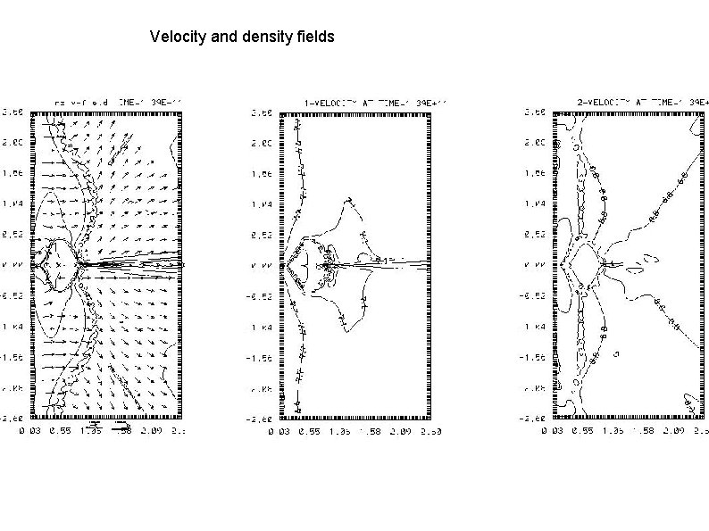 Velocity and density fields 