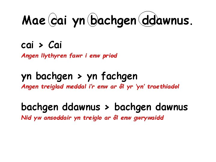 Mae cai yn bachgen ddawnus. cai > Cai Angen llythyren fawr i enw priod