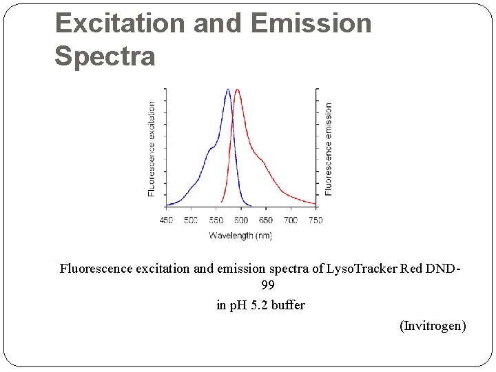 Excitation and Emission Spectra Fluorescence excitation and emission spectra of Lyso. Tracker Red DND