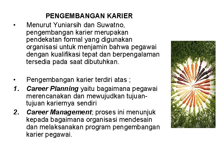  • • 1. 2. PENGEMBANGAN KARIER Menurut Yuniarsih dan Suwatno, pengembangan karier merupakan