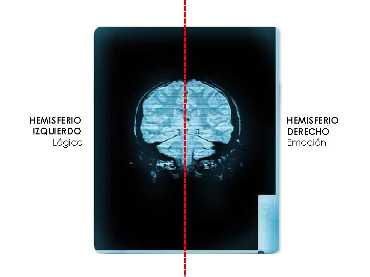 HEMISFERIO IZQUIERDO Lógica HEMISFERIO DERECHO Emoción 