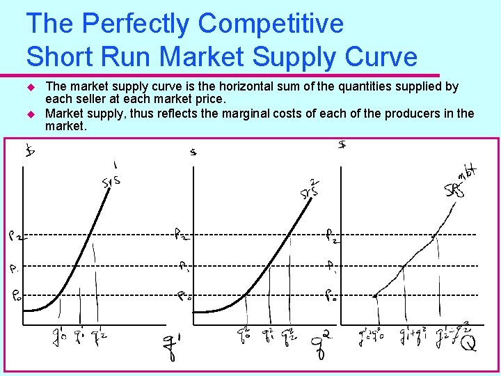 The Perfectly Competitive Short Run Market Supply Curve u u The market supply curve