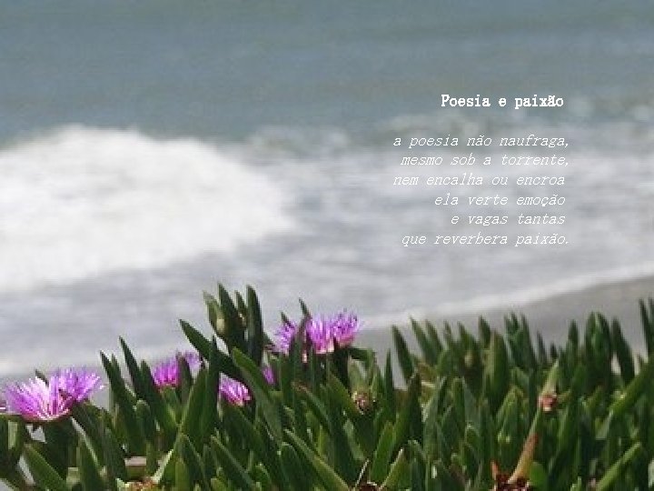 Poesia e paixão a poesia não naufraga, mesmo sob a torrente, nem encalha ou