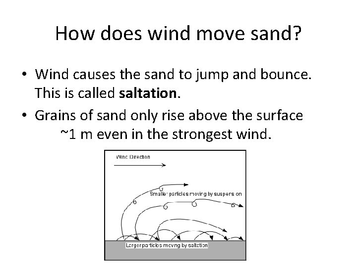 How does wind move sand? • Wind causes the sand to jump and bounce.