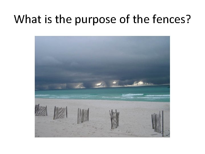 What is the purpose of the fences? 