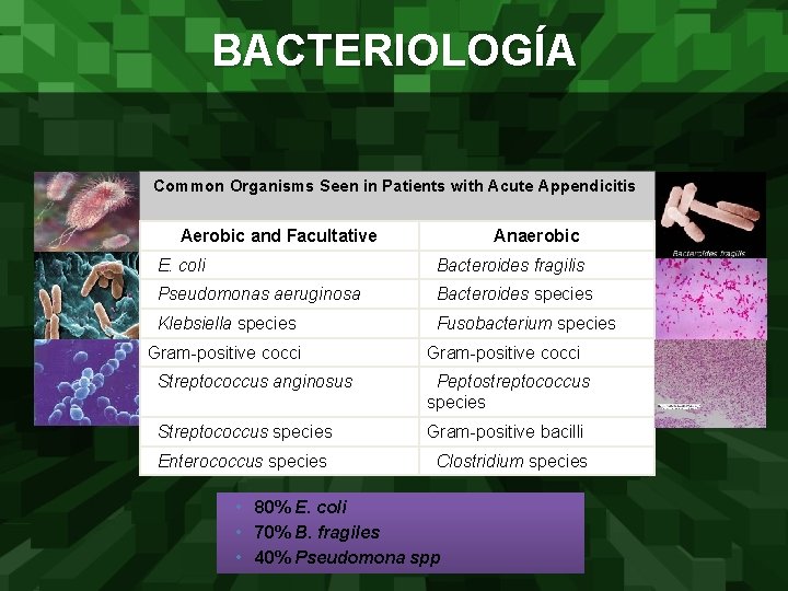 BACTERIOLOGÍA Common Organisms Seen in Patients with Acute Appendicitis Aerobic and Facultative Anaerobic E.