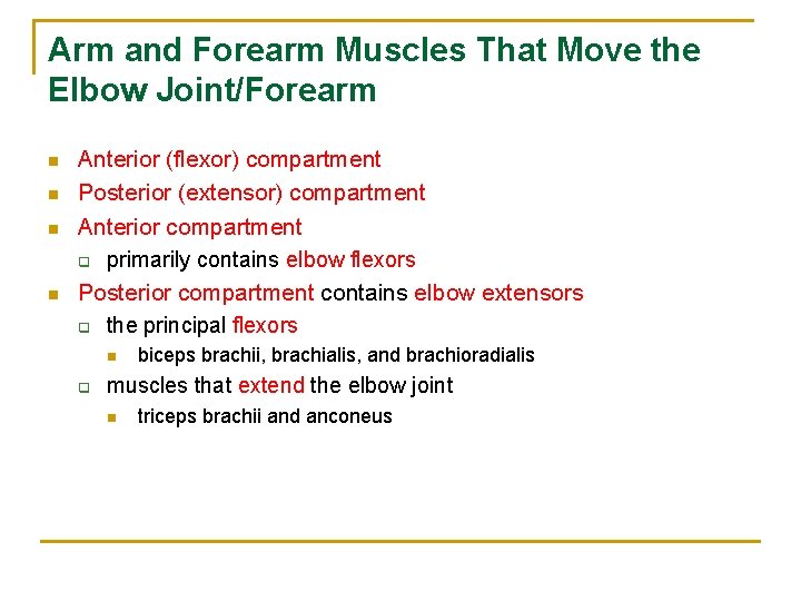 Arm and Forearm Muscles That Move the Elbow Joint/Forearm n n Anterior (flexor) compartment