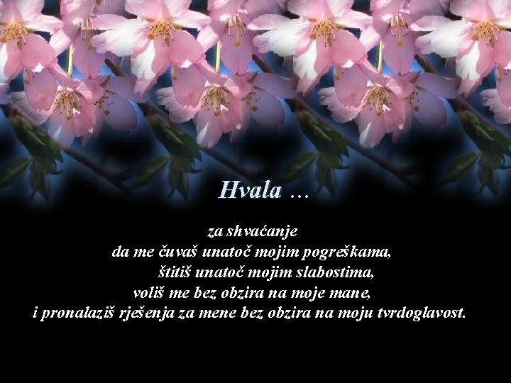 Hvala … za shvaćanje da me čuvaš unatoč mojim pogreškama, štitiš unatoč mojim slabostima,