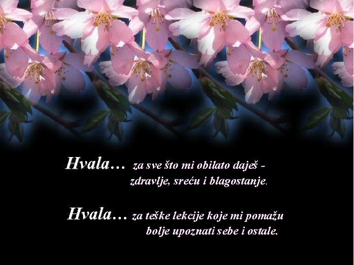 Hvala… Hvala za sve što mi obilato daješ - zdravlje, sreću i blagostanje. Hvala…