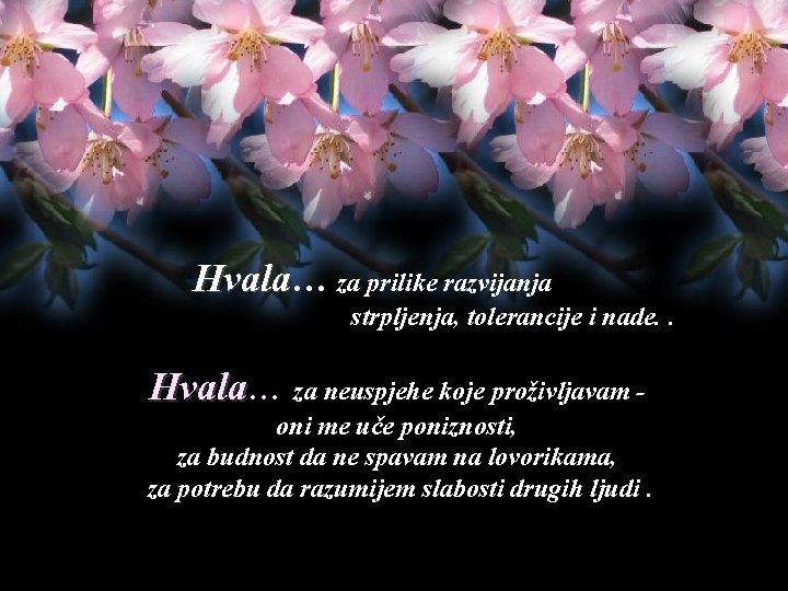 Hvala… Hvala za prilike razvijanja strpljenja, tolerancije i nade. . Hvala… Hvala za neuspjehe