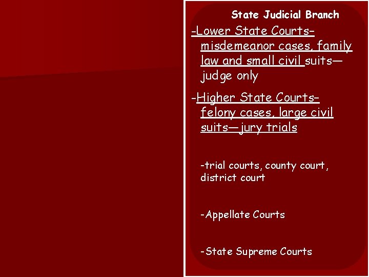 State Judicial Branch -Lower State Courts– misdemeanor cases, family law and small civil suits—