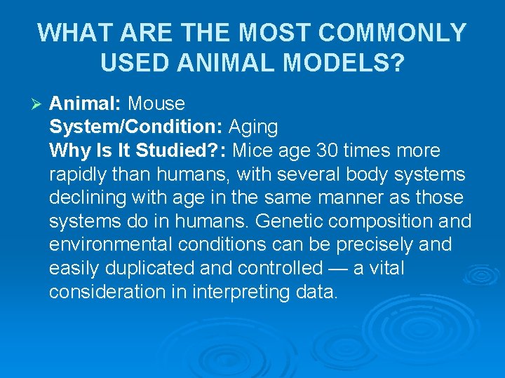 WHAT ARE THE MOST COMMONLY USED ANIMAL MODELS? Ø Animal: Mouse System/Condition: Aging Why