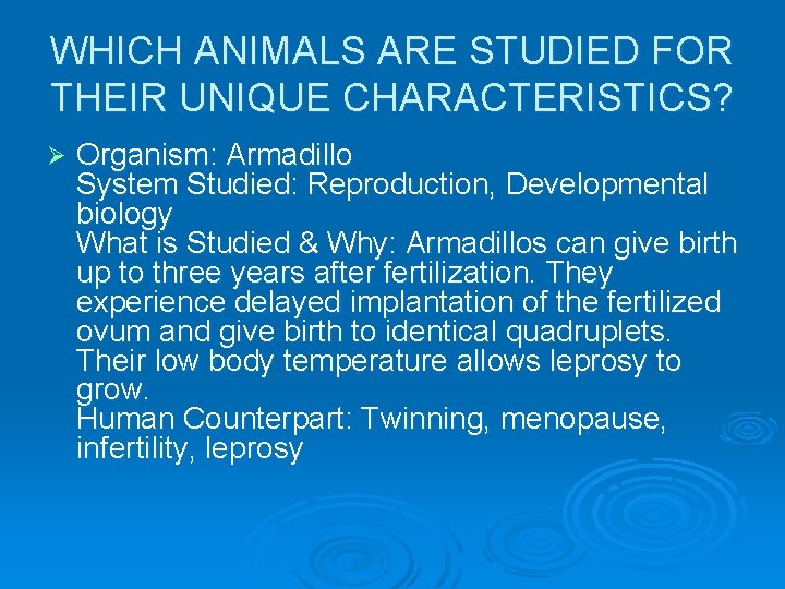 WHICH ANIMALS ARE STUDIED FOR THEIR UNIQUE CHARACTERISTICS? Ø Organism: Armadillo System Studied: Reproduction,