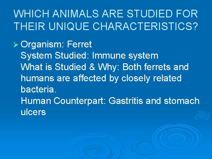 WHICH ANIMALS ARE STUDIED FOR THEIR UNIQUE CHARACTERISTICS? Ø Organism: Ferret System Studied: Immune