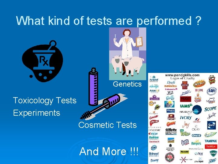 What kind of tests are performed ? Genetics Toxicology Tests Experiments Cosmetic Tests And