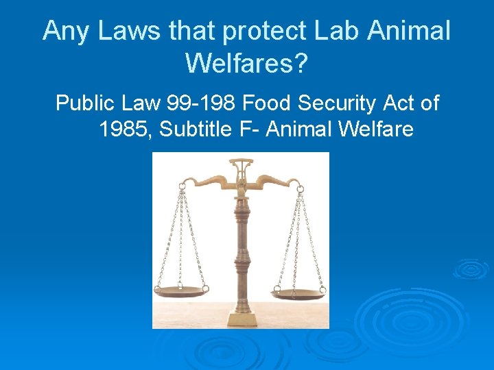 Any Laws that protect Lab Animal Welfares? Public Law 99 -198 Food Security Act