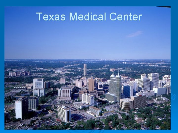 Texas Medical Center 