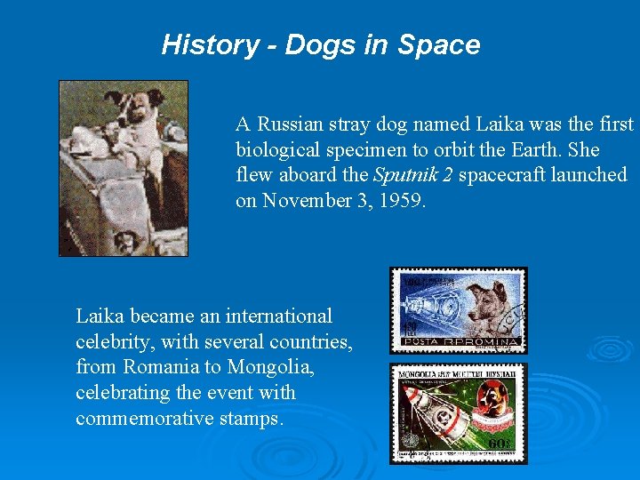 History - Dogs in Space A Russian stray dog named Laika was the first