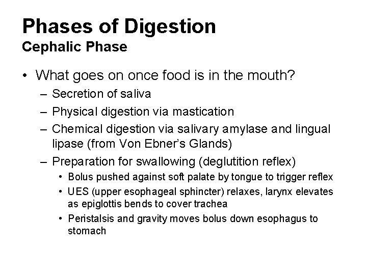 Phases of Digestion Cephalic Phase • What goes on once food is in the