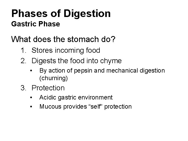 Phases of Digestion Gastric Phase What does the stomach do? 1. Stores incoming food