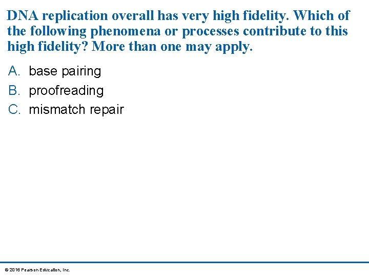 DNA replication overall has very high fidelity. Which of the following phenomena or processes