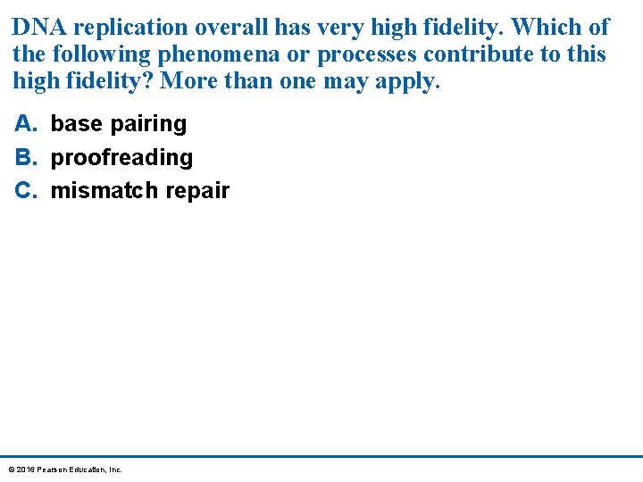 DNA replication overall has very high fidelity. Which of the following phenomena or processes